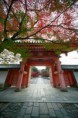 /album/fenykepgaleria/japan-jpg/