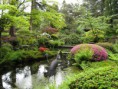 /album/fenykepgaleria/japanese-garden-tatton-park-35-jpg/